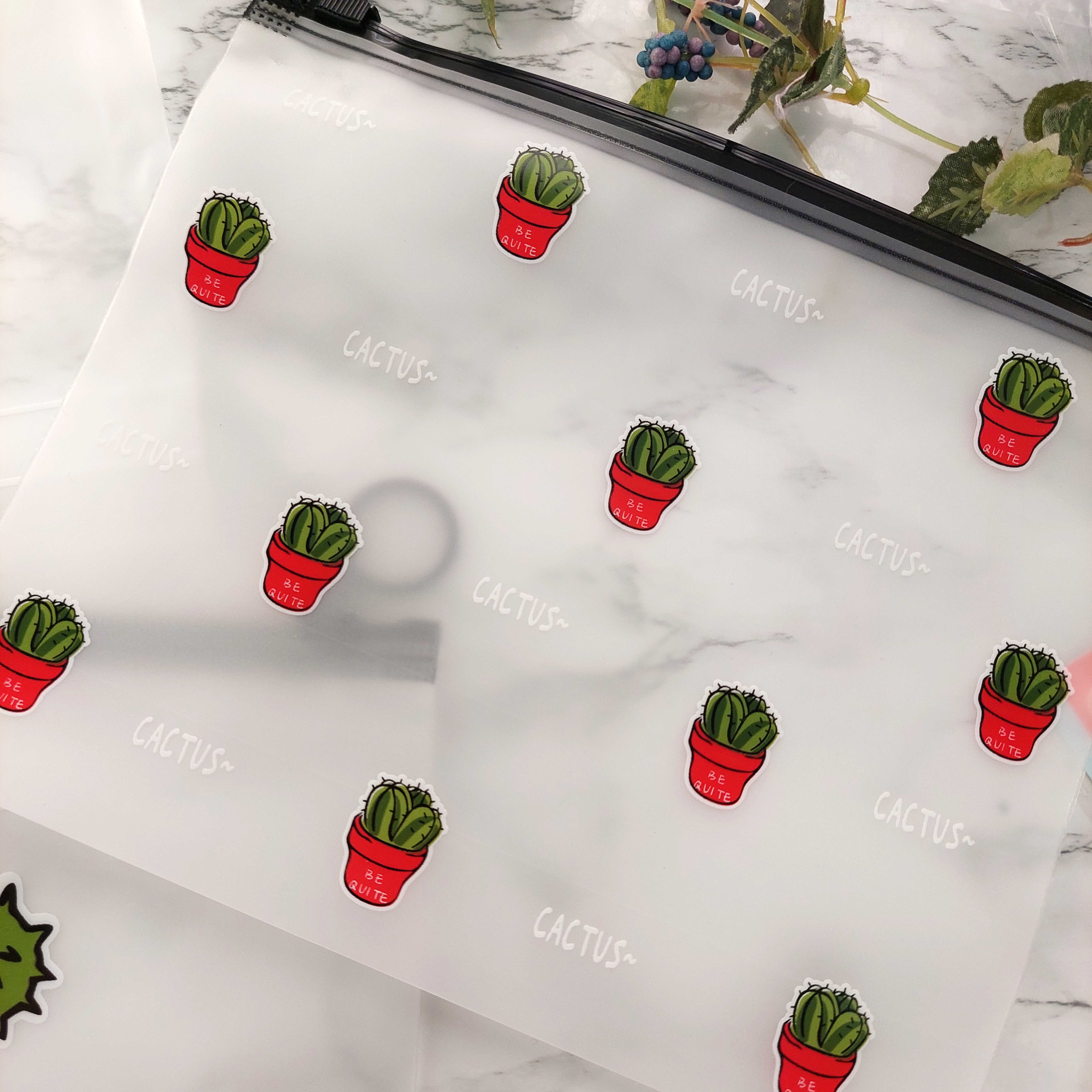 پوشه زیپدار کاکتوس