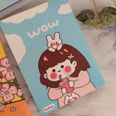 دفترچه پاسپورتی