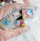 پاکن فضانورد