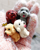 پاکن سگ پشمالو