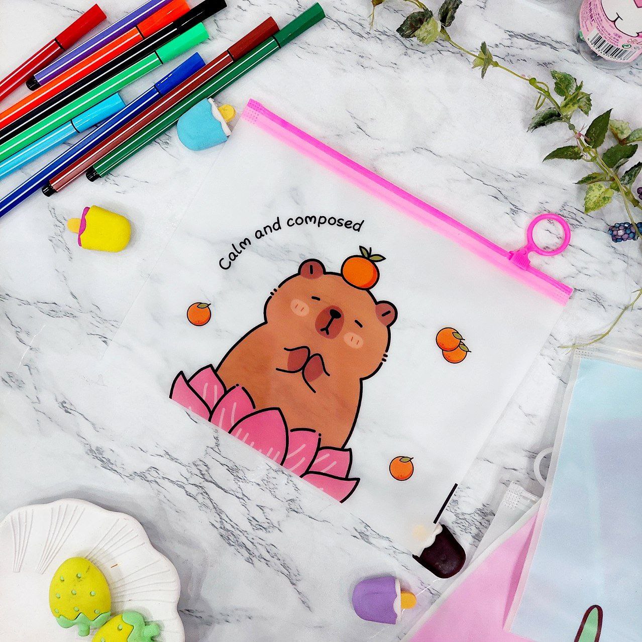 پوشه زیپ دار فانتزی