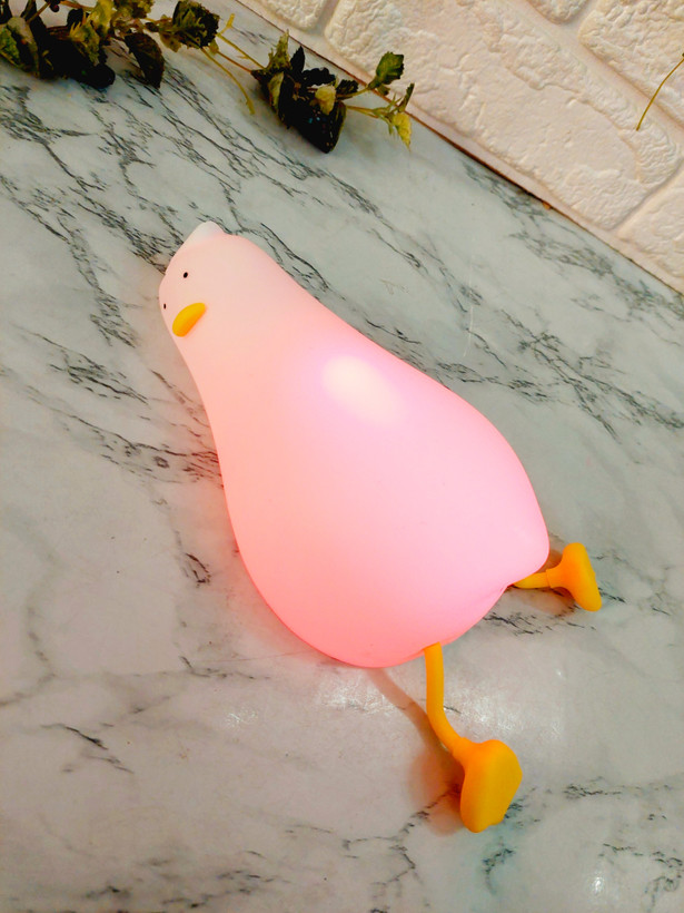 چراغ خواب اردک